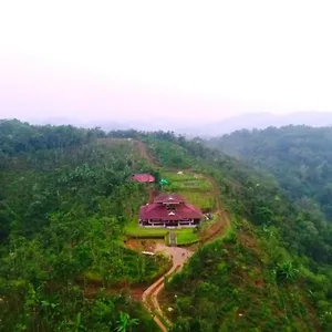 https://wonder-hill-wayanad-resort.kerala-hotels.net